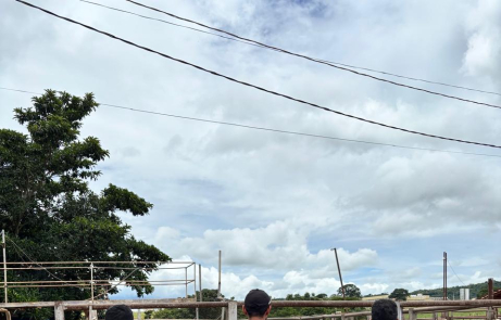 Operação investiga esquema de R$ 190 milhões em sonegação no setor de carnes